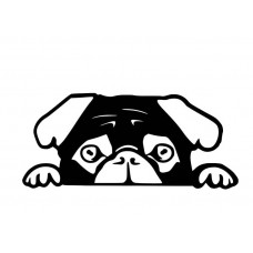 Sticker Peeking Pug Black